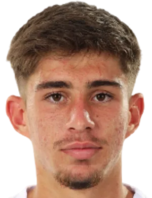 Adriano Manole