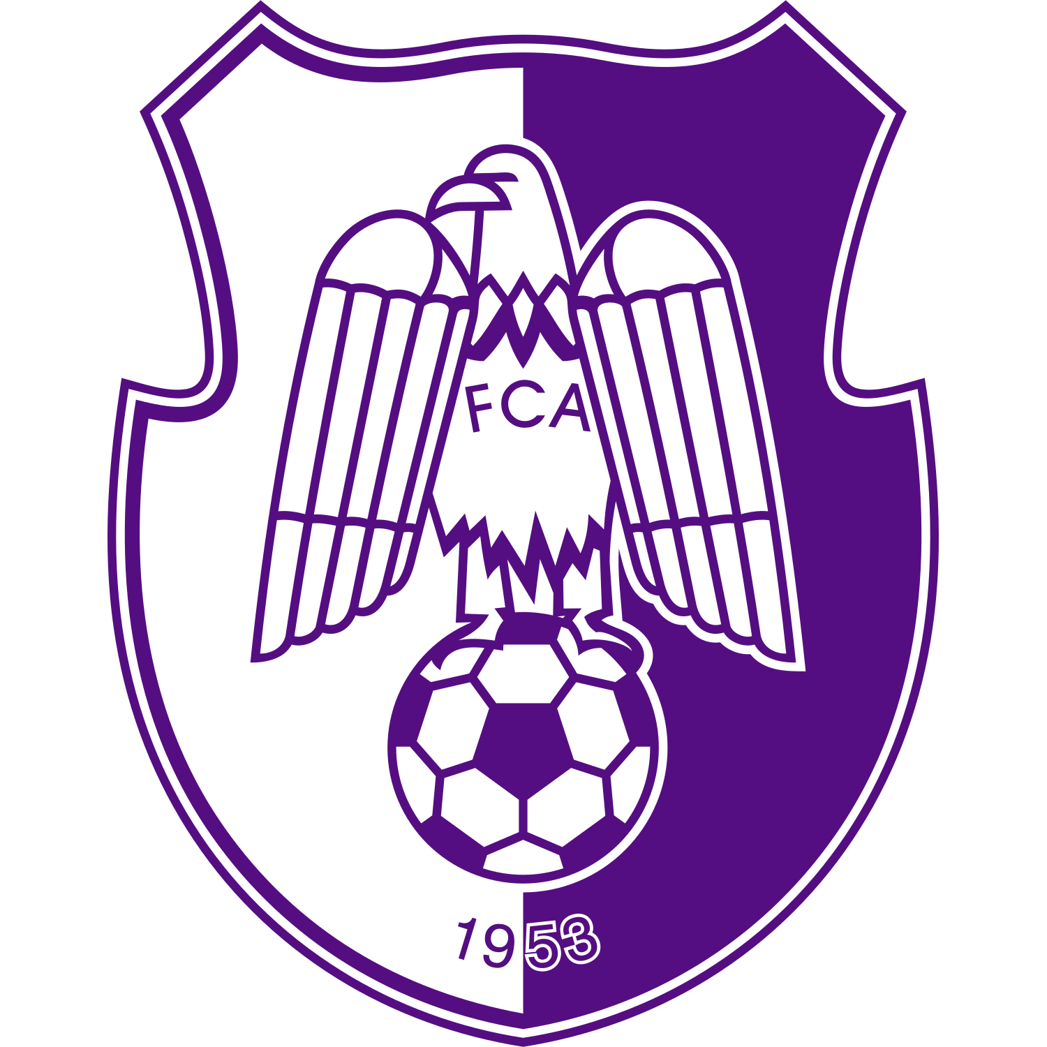 Logo FC Argeș